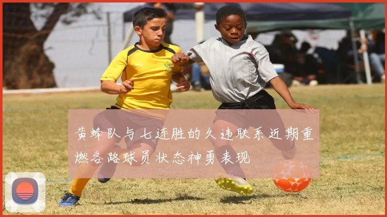 黄蜂队与七连胜的久违联系近期重燃各路球员状态神勇表现
