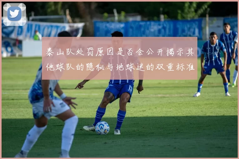 泰山队处罚原因是否会公开揭示其他球队的隐秘与地球迷的双重标准